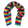 Barry Wang Rainbow Striped Silk Scarf for Men Accessory sold by Barrywang