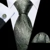Barry Wang Paisley Tie Grey and Sage Green Paisley Pattern Tie Set sold by Barrywang