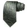 Barry Wang Paisley Tie Grey and Sage Green Paisley Pattern Tie Set sold by Barrywang