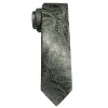 Barry Wang Paisley Tie Grey and Sage Green Paisley Pattern Tie Set sold by Barrywang