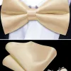 Barry Wang 5pcs Mens Waistcoat Set Champagne Solid Vest Necktie Bowtie Set sold by Barrywang