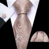 Barry Wang Champagne Paisley Tie for Men Silk Necktie Set sold by Barrywang