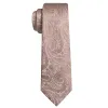 Barry Wang Champagne Paisley Tie for Men Silk Necktie Set sold by Barrywang