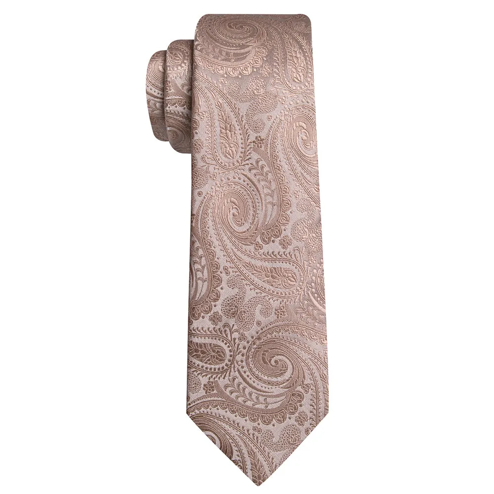 Barry Wang Champagne Paisley Tie for Men Silk Necktie Set sold by Barrywang product image thumbnail 5