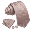Barry Wang Champagne Paisley Tie for Men Silk Necktie Set sold by Barrywang