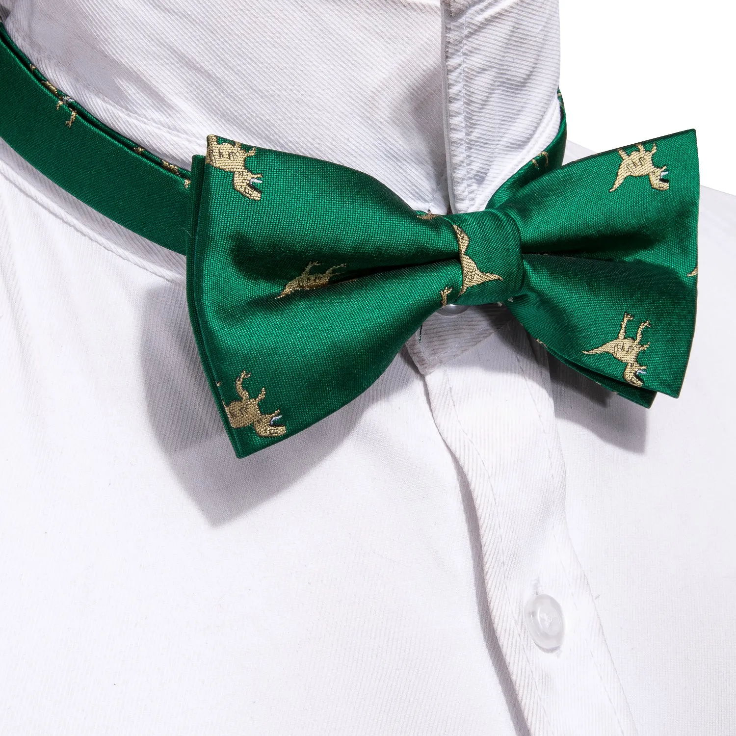 Barry. Wang Green Bowtie Pocket Square Cufflinks Set Dinosaur Pre-tied Silk Men's Party Bow Tie sold by Barrywang product image thumbnail 4