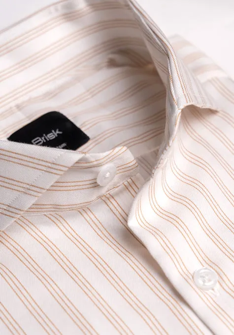 Egyptian Camel Multi Twill Stripes Shirt - Wrinkle Resistant sold by Brisk Shirts product image thumbnail 2