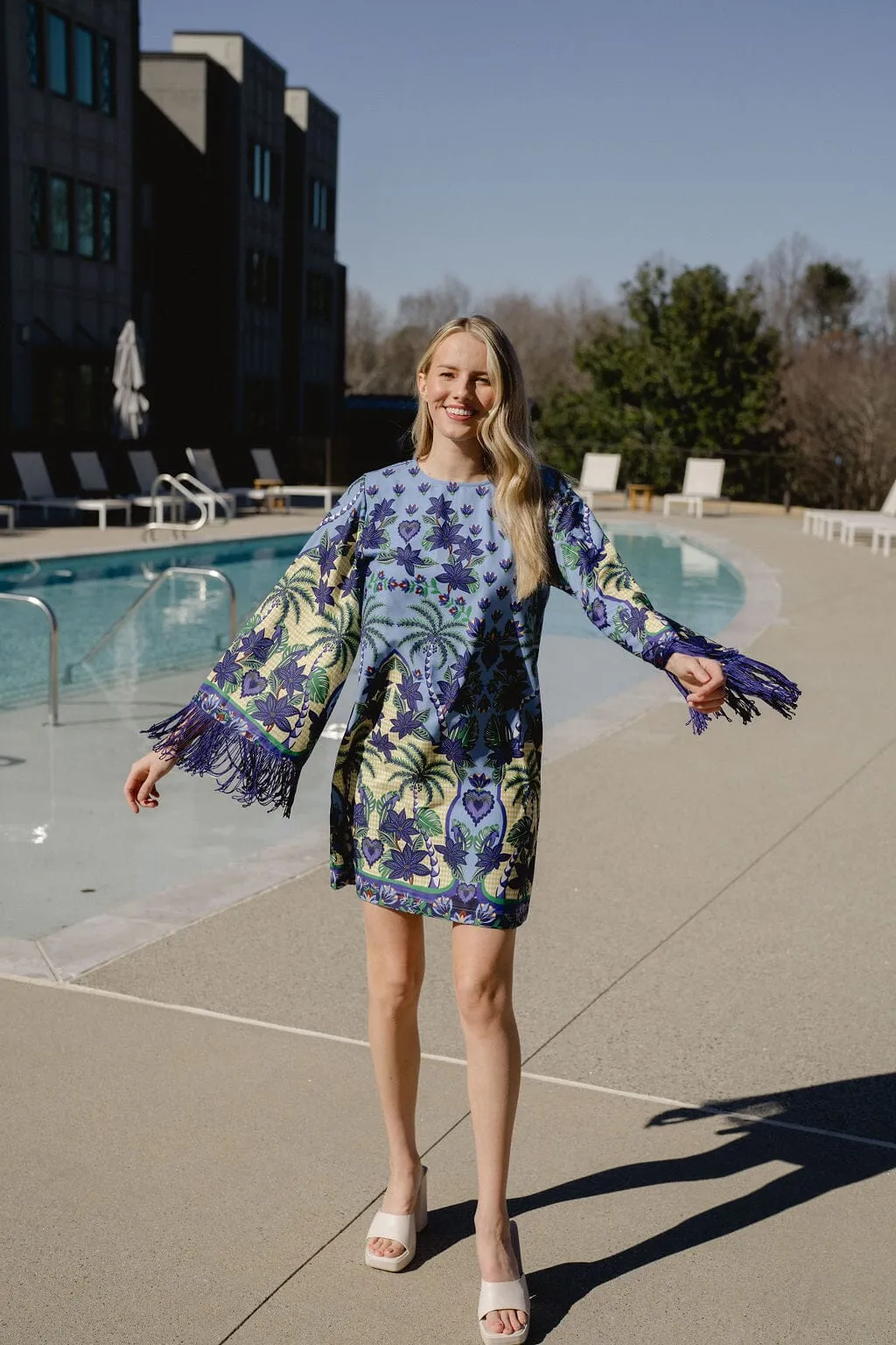 Silva Mini Dress sold by Briton Court product image thumbnail 2