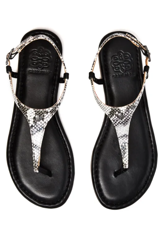 Black sandal with snake straps sold by Cambiami