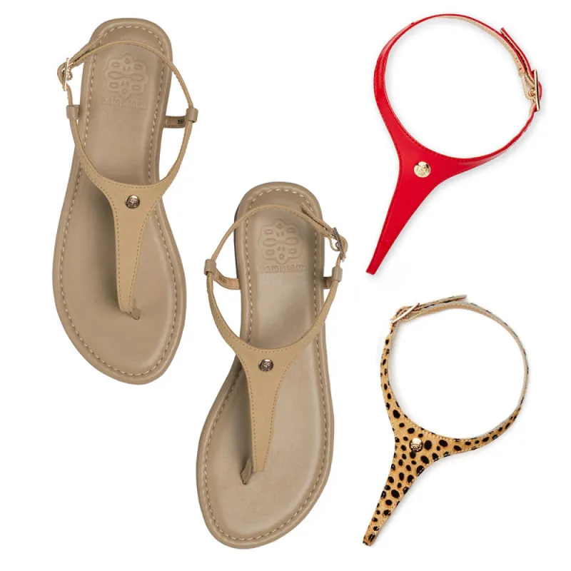 Animal Instinct sold by Cambiami