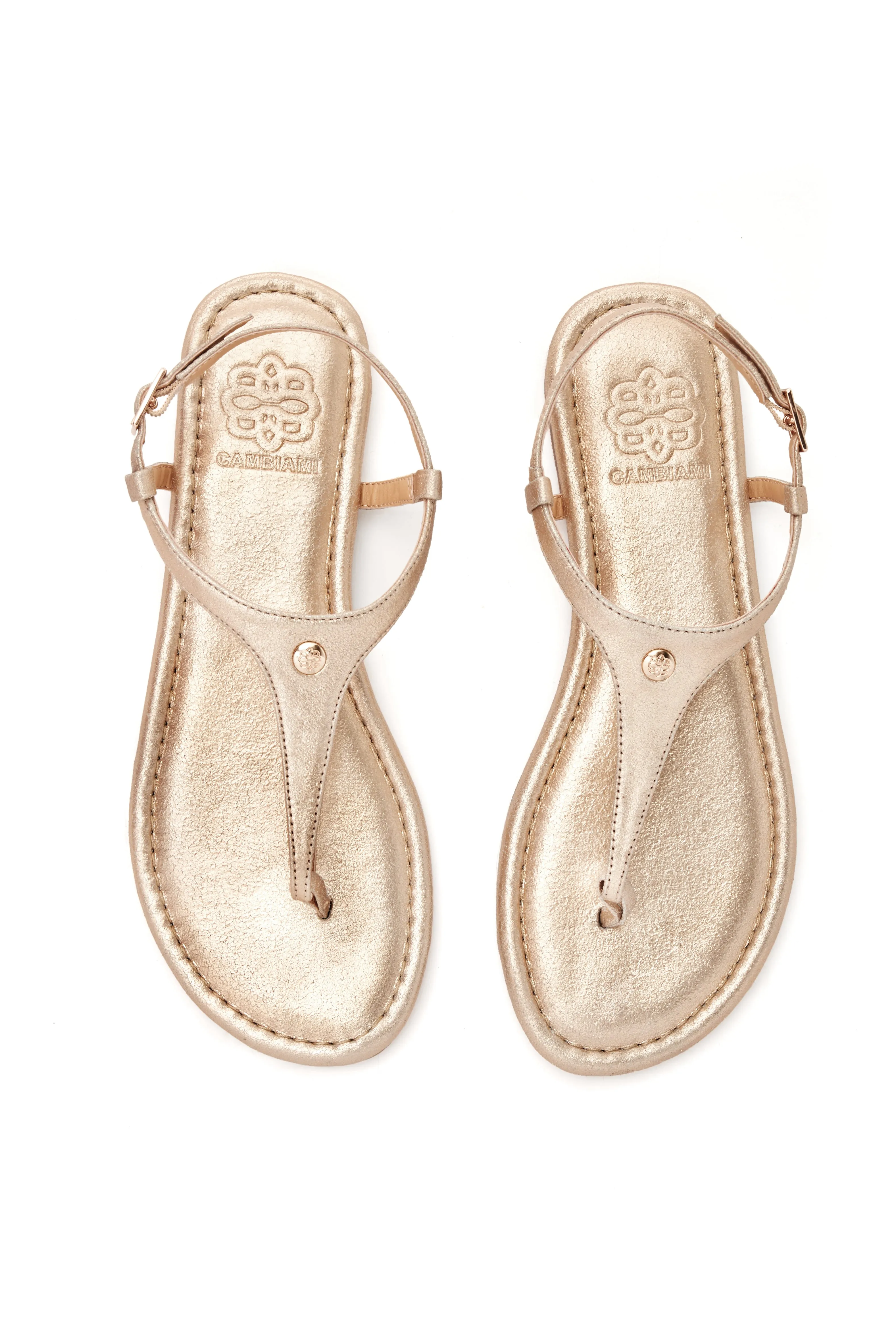 Champagne Wedding Collection sold by Cambiami product image thumbnail 4