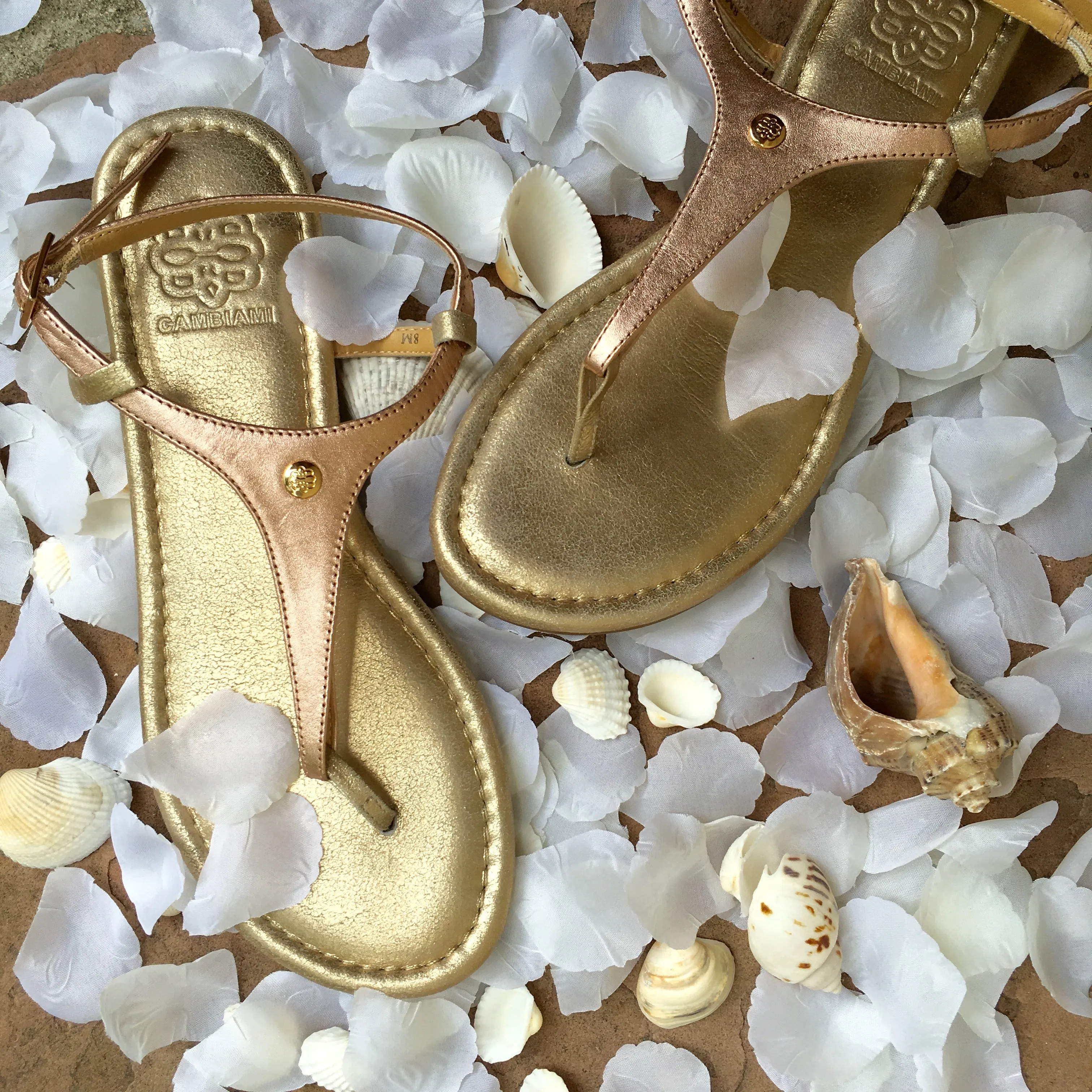 Champagne Wedding Collection sold by Cambiami product image thumbnail 5