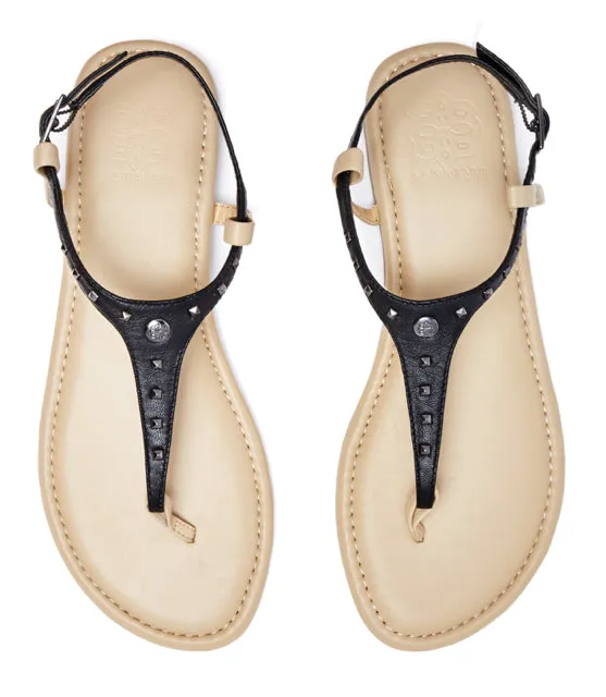 Black Leather with Pewter Studs sold by Cambiami product image thumbnail 3