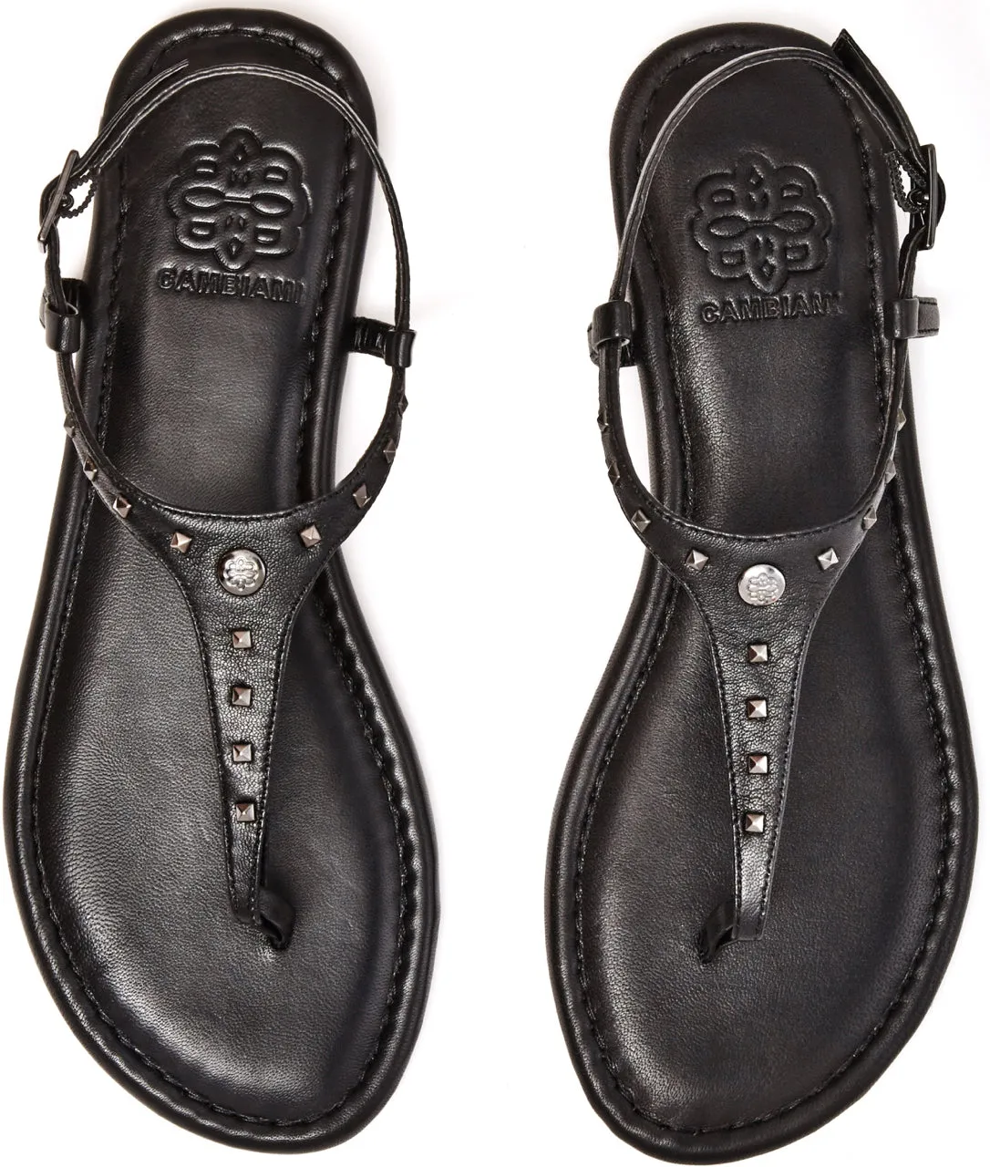 Black Leather with Pewter Studs sold by Cambiami product image thumbnail 2