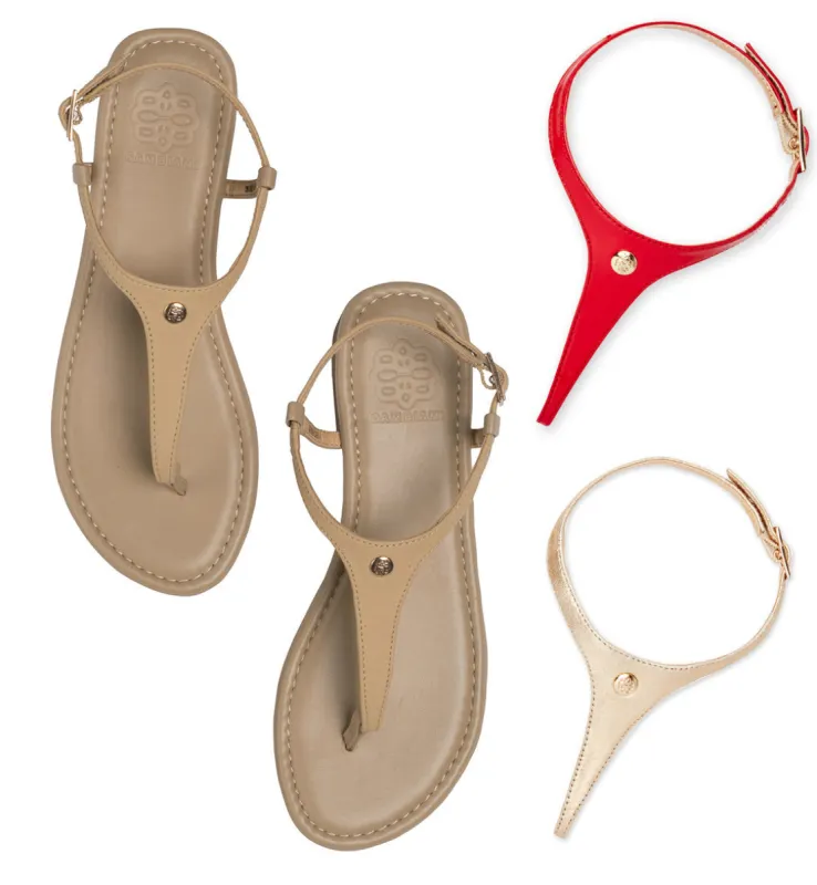 Holiday Cheer sold by Cambiami