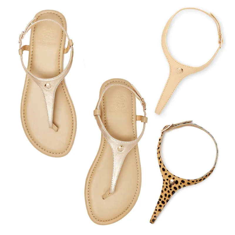 Michelle West sold by Cambiami