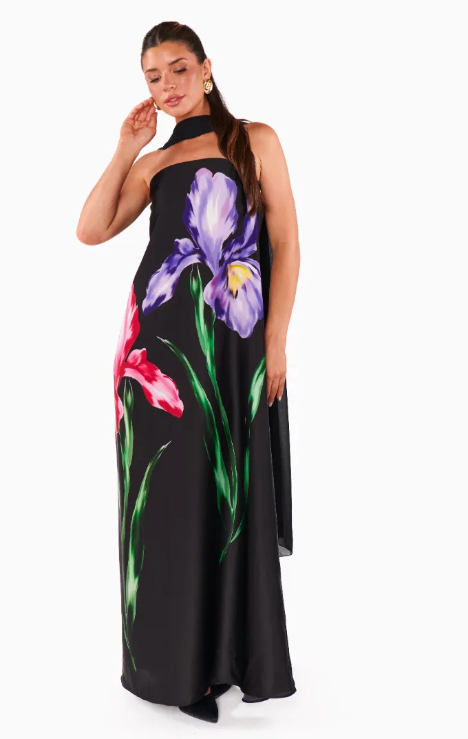 Renee Maxi Dress sold by Care Tucker product image thumbnail 2