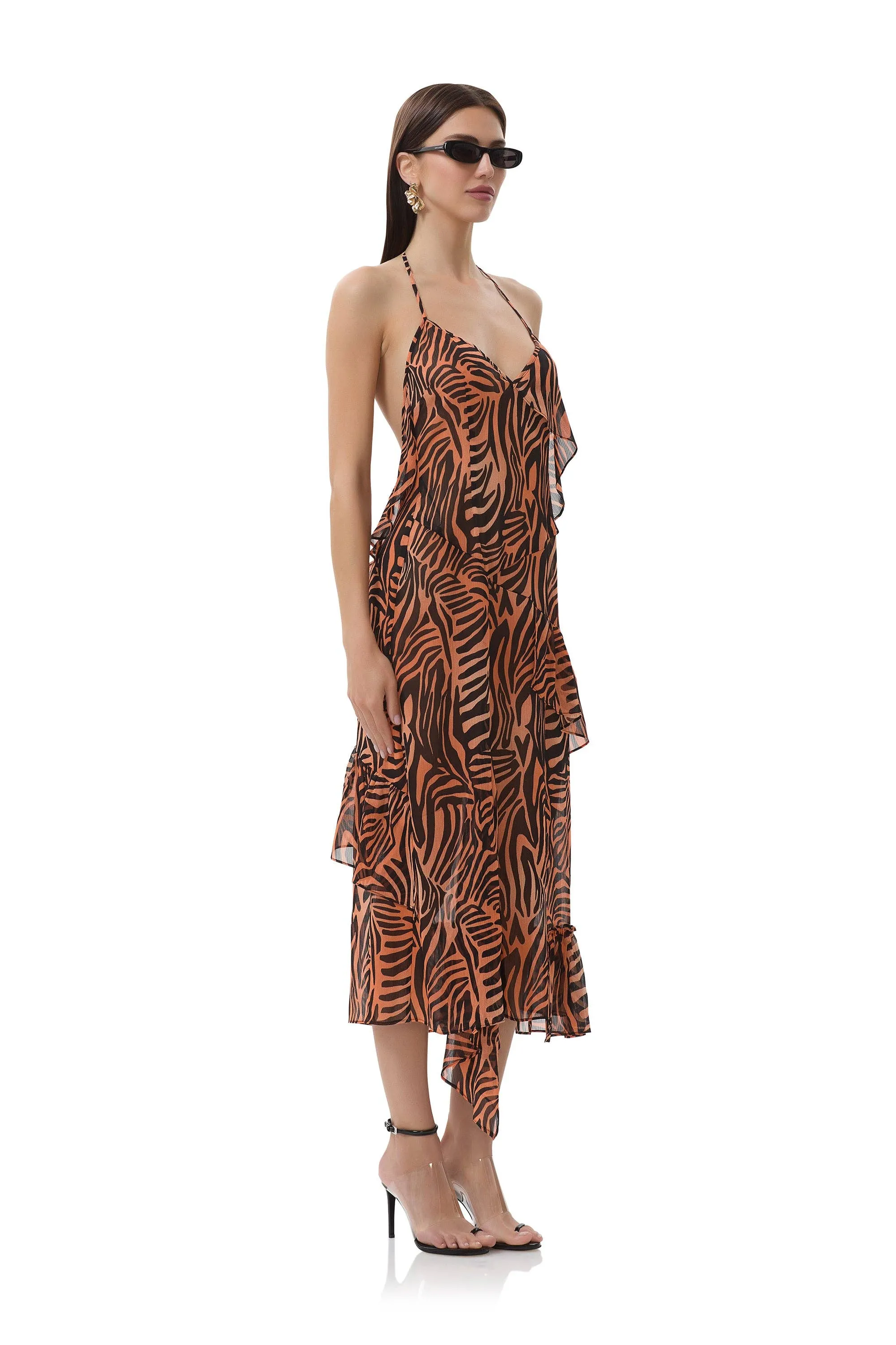 Ware Dress - Ombre Zebra sold by Care Tucker product image thumbnail 3