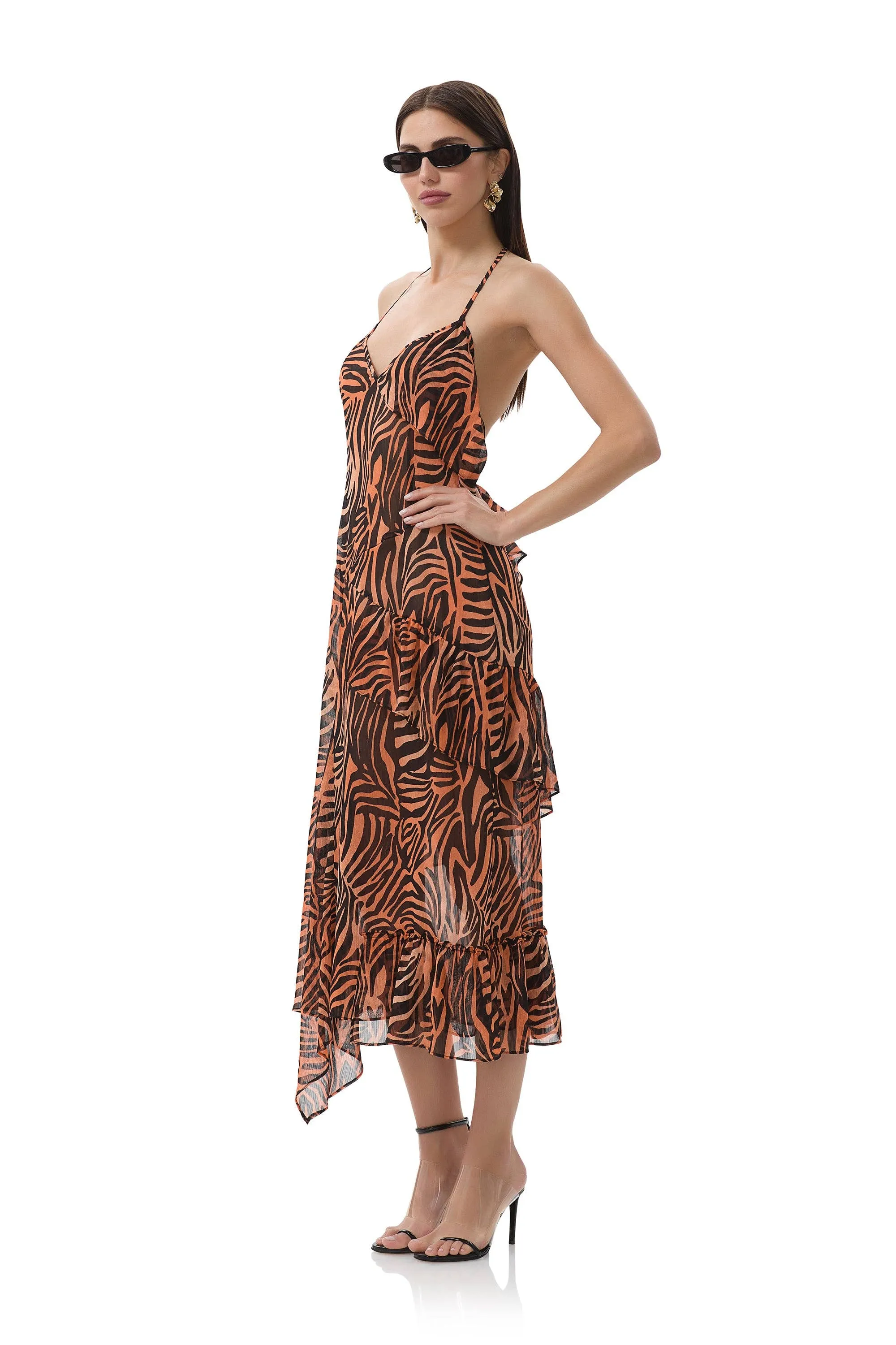 Ware Dress - Ombre Zebra sold by Care Tucker product image thumbnail 2