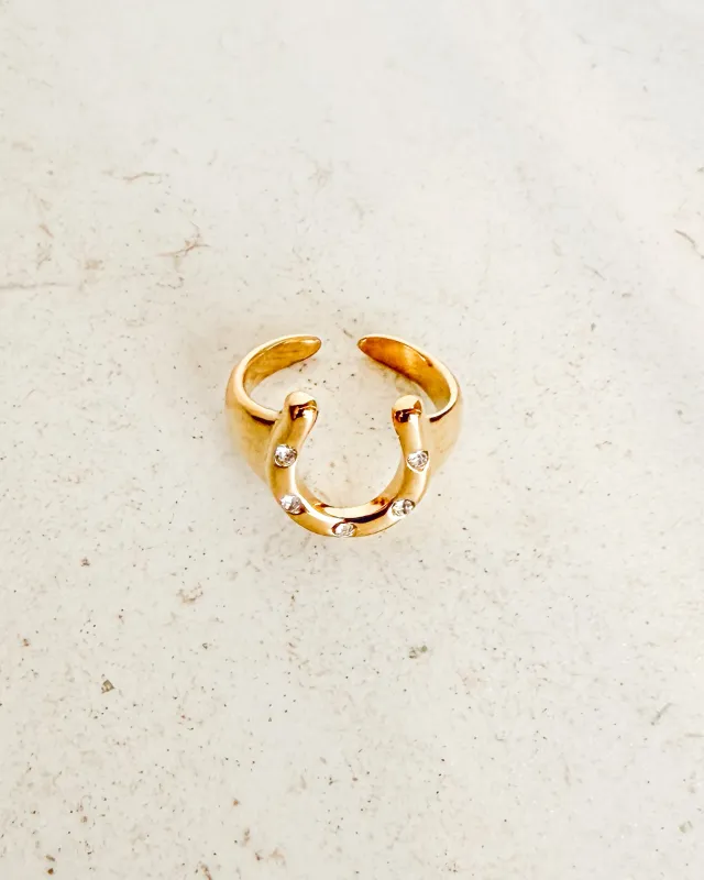 Horseshoe  adjustable RING made by Care Tucker