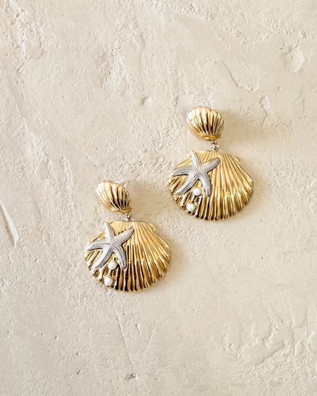 Seashell Earrings made by Care Tucker