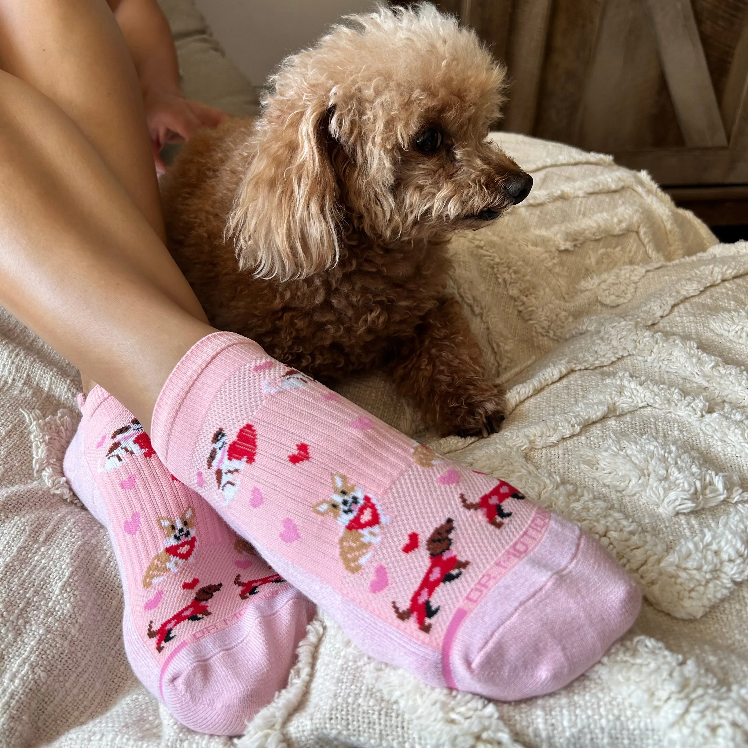 Puppy Love | Ankle Compression Socks For Women sold by Dr. Motion product image thumbnail 2