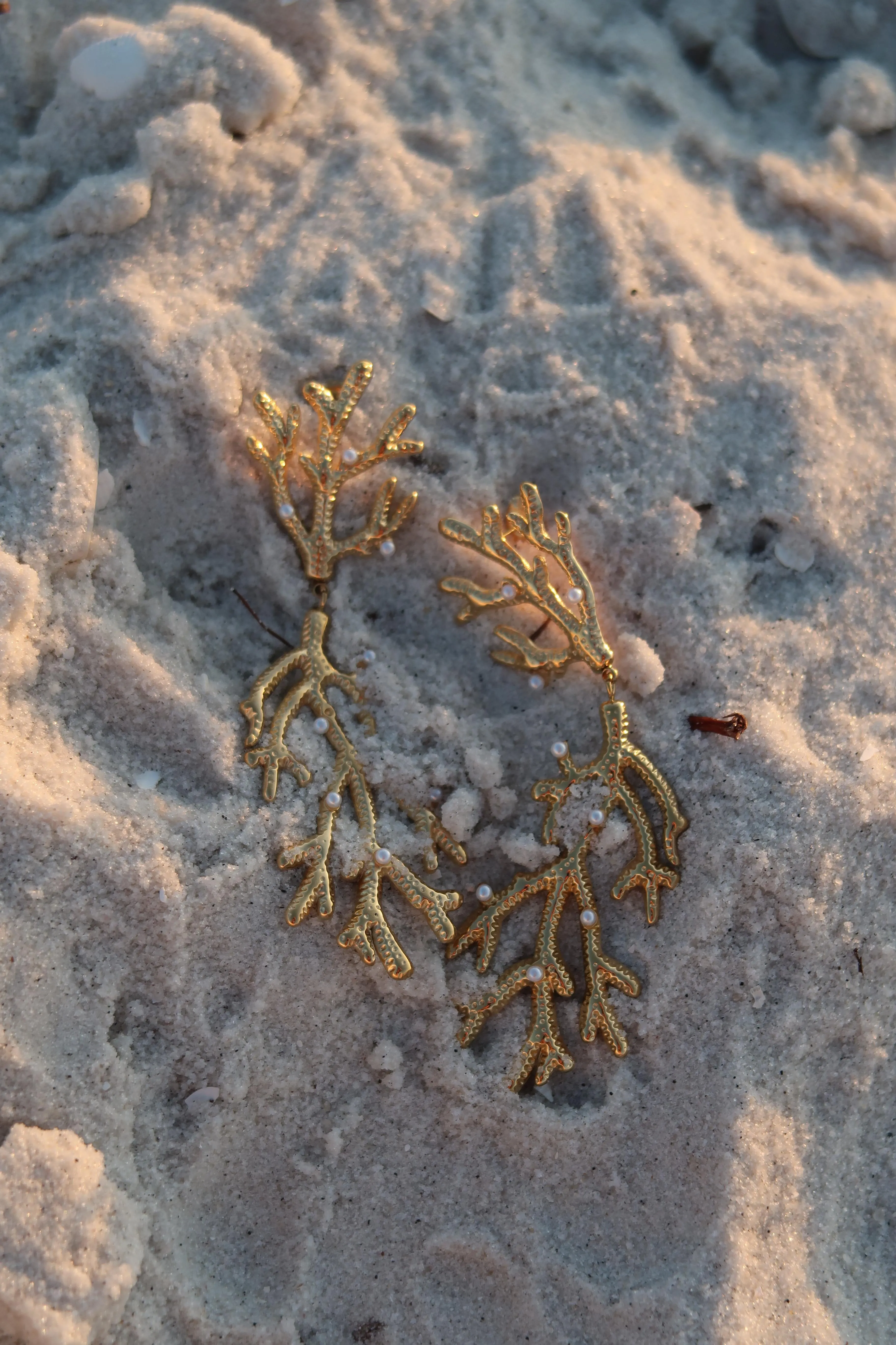 Coral Island 316L Stainless Steel earrings sold by KC Chic Designs product image thumbnail 2