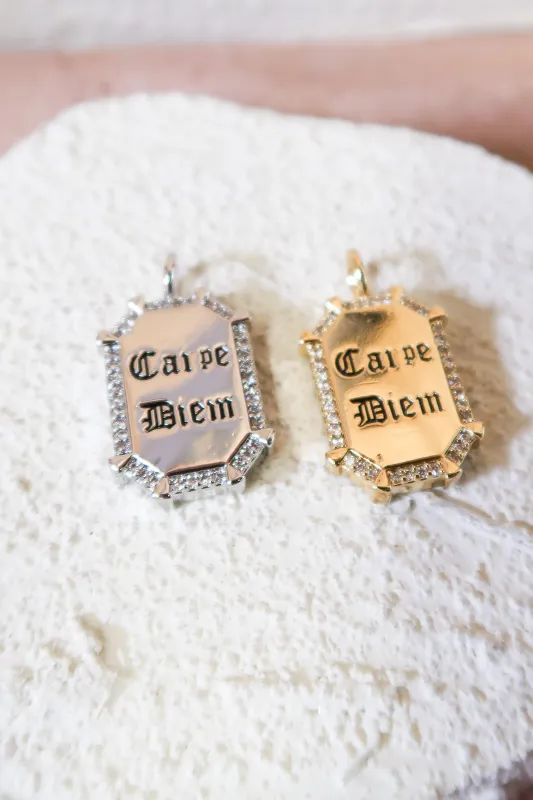 Carpe Diem 316L Stainless Steel Crystal Charm sold by KC Chic Designs
