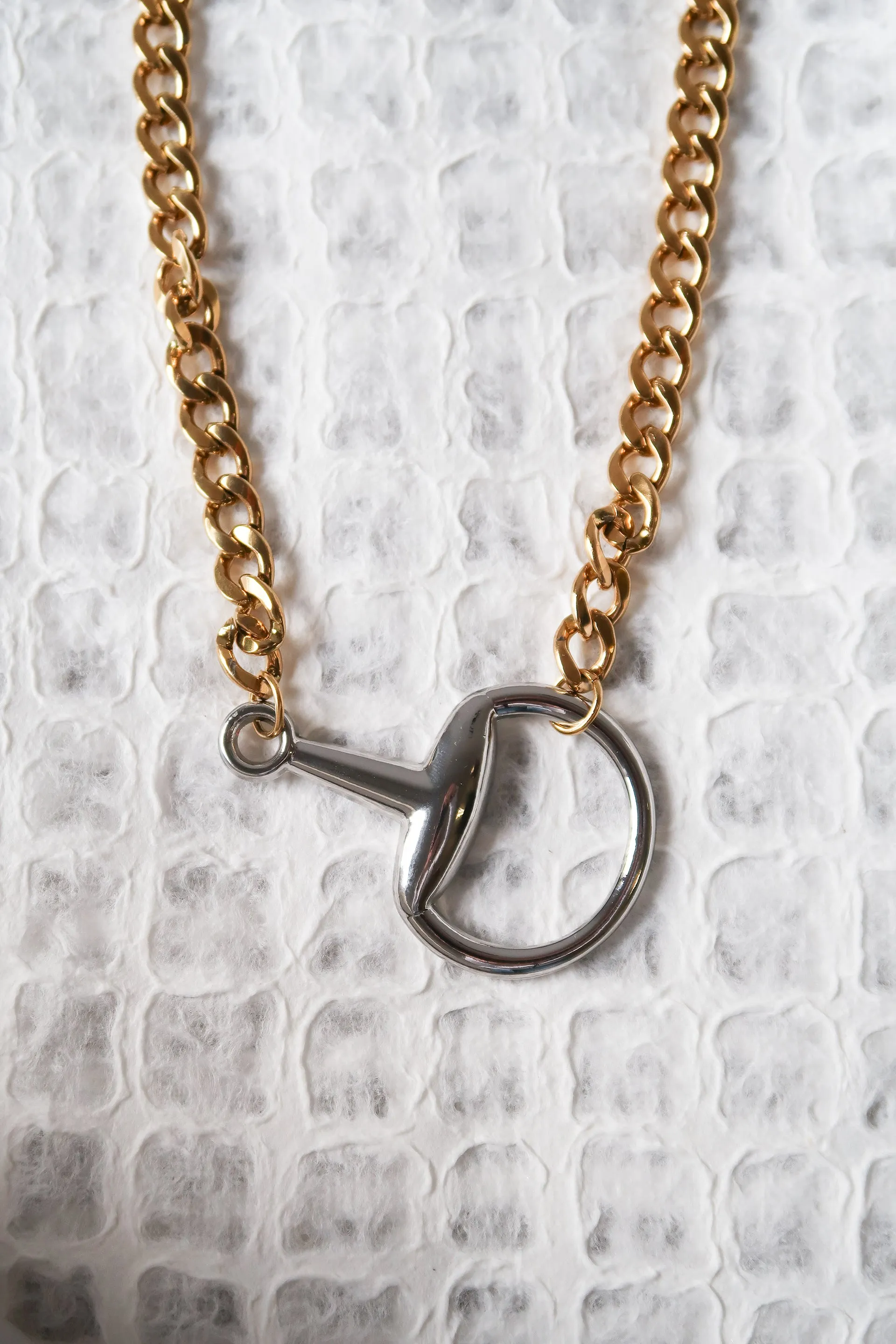 In Control Horse Bit 316L Stainless Steel Necklace sold by KC Chic Designs product image thumbnail 3