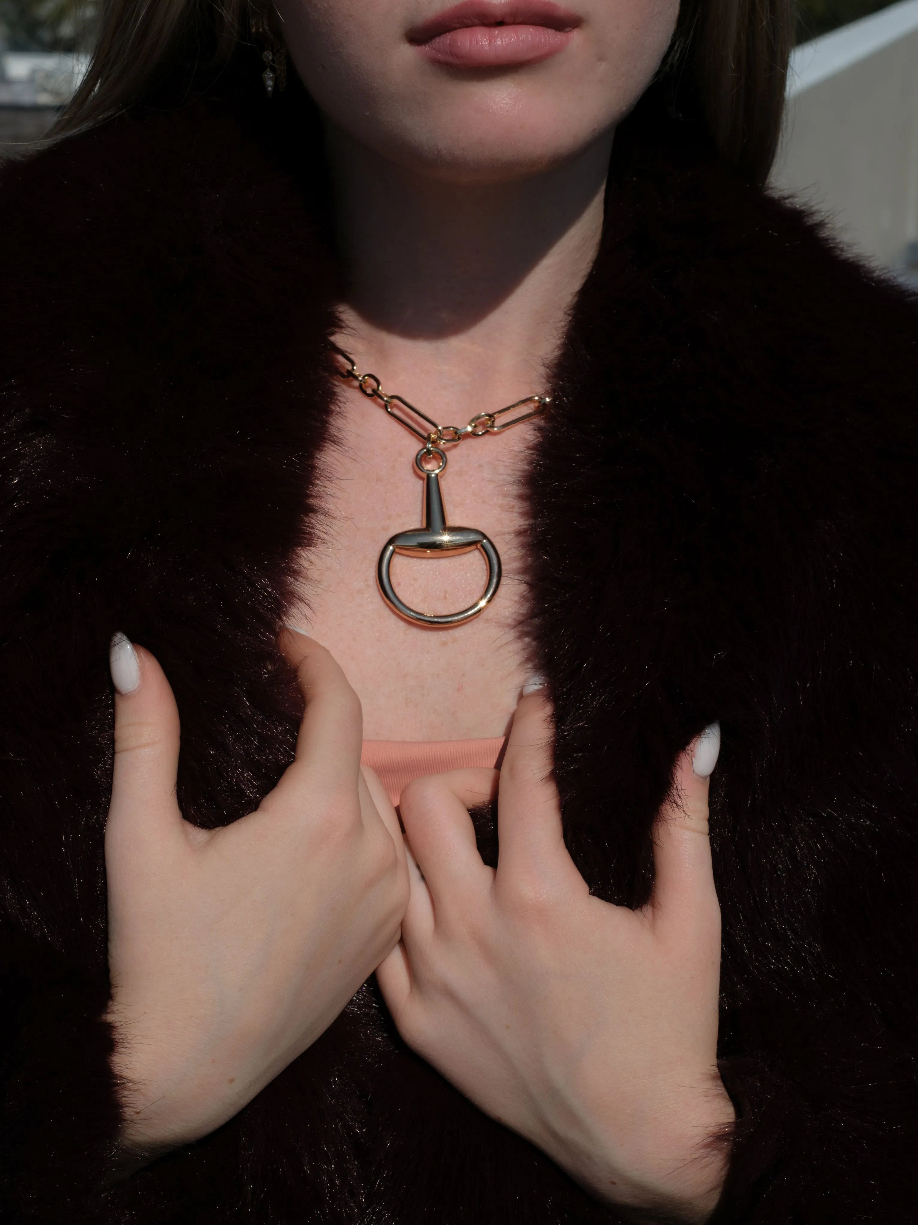 A Bit Of Power 316L Stainless Steel Horse Bit Necklace sold by KC Chic Designs product image thumbnail 5