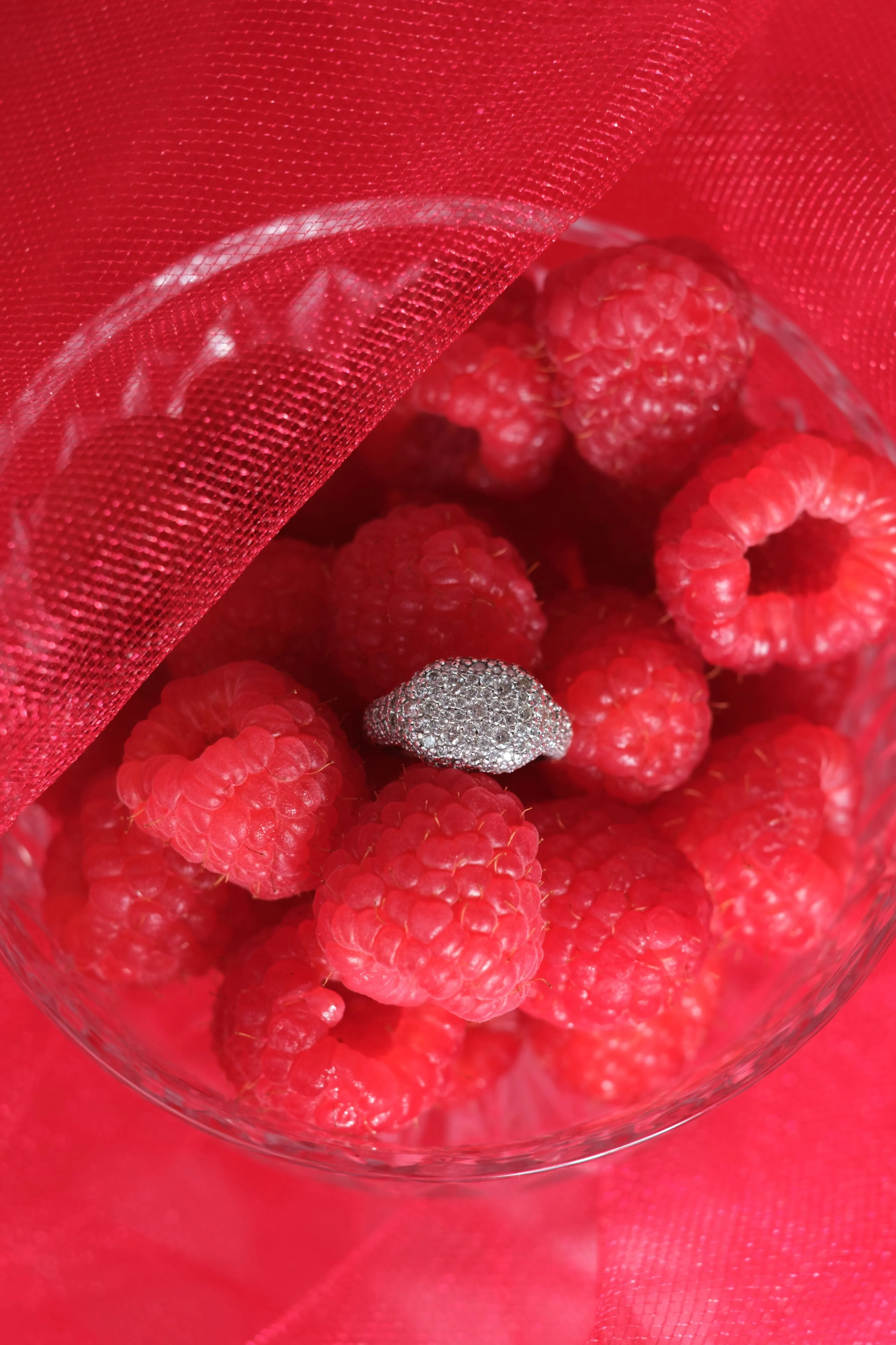 Regal .925 Sterling Silver Pavé Moissanite Signet Ring sold by KC Chic Designs product image thumbnail 2