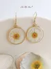 Pressed Flower Earrings - White Daisies sold by Like My Choice