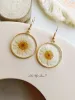 Pressed Flower Earrings - White Daisies sold by Like My Choice