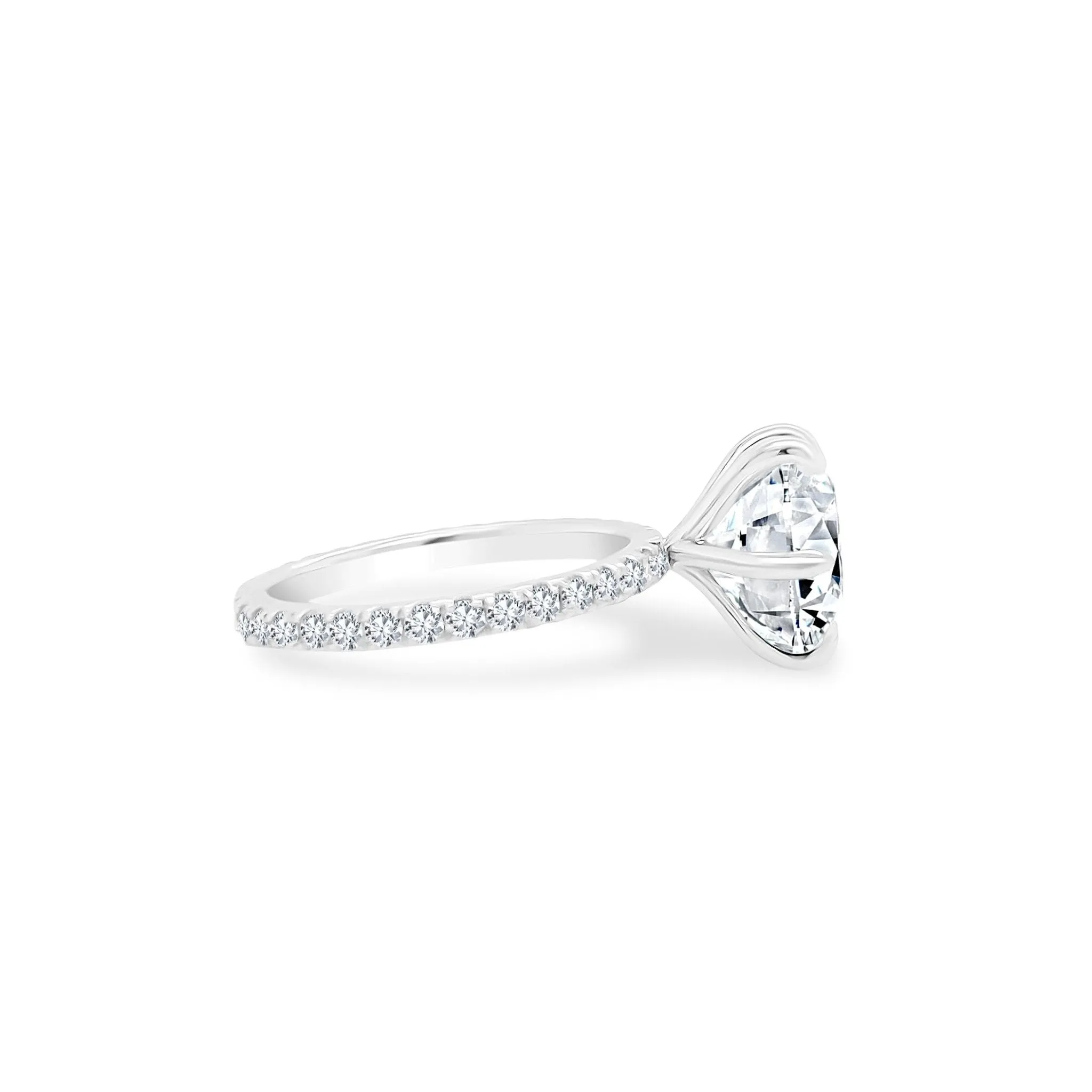 Round Solitiare on Diamond Band sold by LINDSEY LEIGH JEWELRY product image thumbnail 5