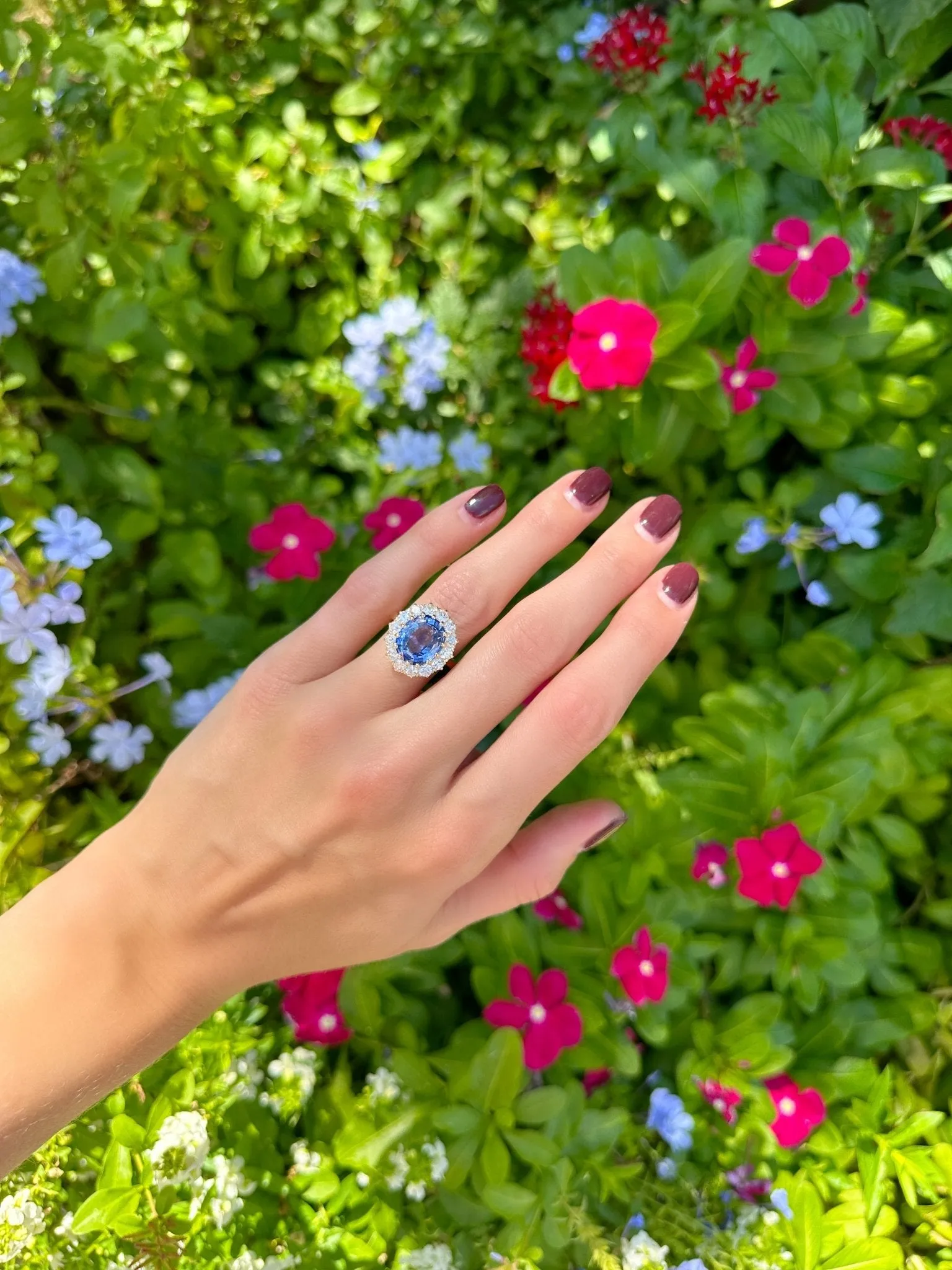 Blue Sapphire Halo Ring sold by LINDSEY LEIGH JEWELRY product image thumbnail 4