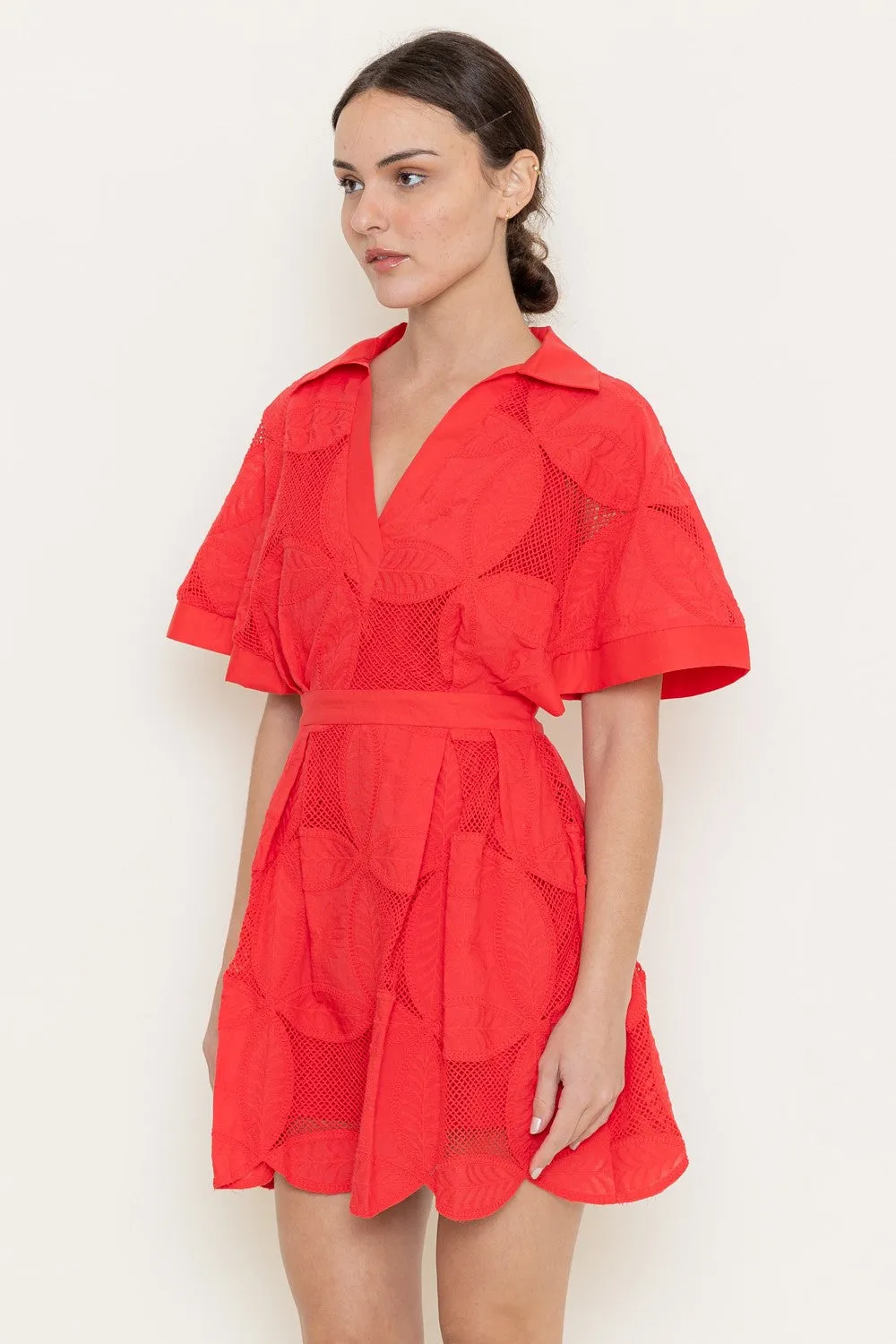 Alicia Dress sold by Liz and Honey product image thumbnail 4