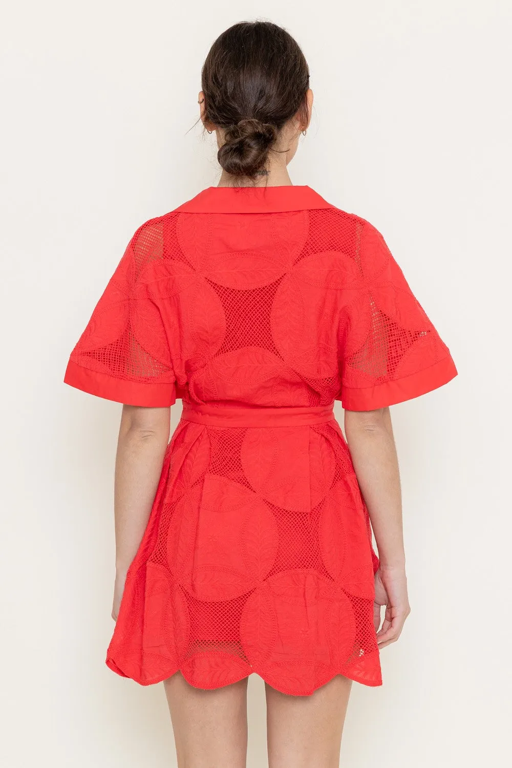 Alicia Dress sold by Liz and Honey product image thumbnail 5