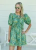 Stephanie Dress sold by Liz and Honey