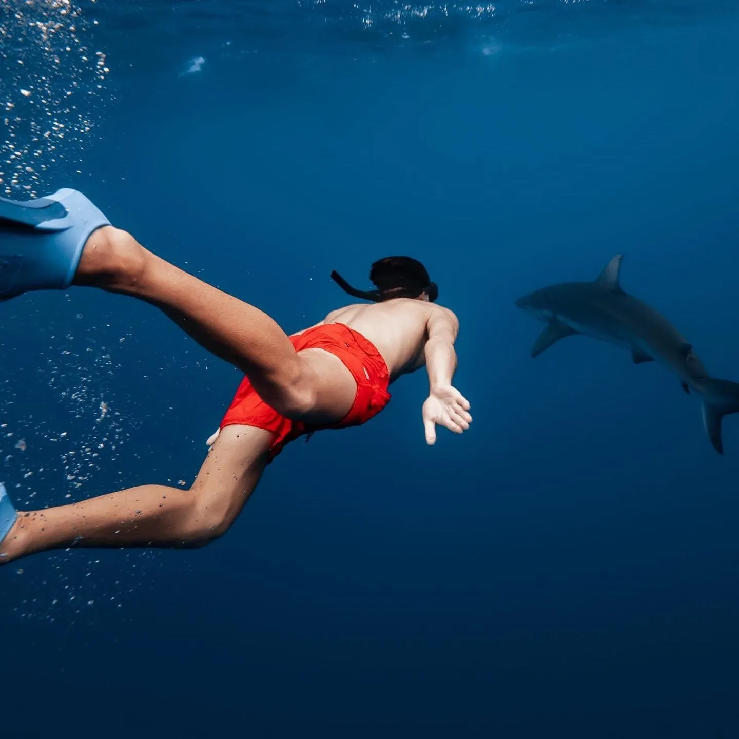 Ocean Spectrum Nylon Solid Color Swim Trunks sold by maamgic product image thumbnail 5