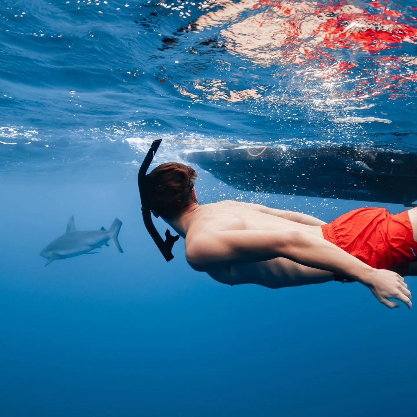 Ocean Spectrum Nylon Solid Color Swim Trunks sold by maamgic product image thumbnail 4