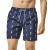 Chirpy Pineapple Swim Trunks sold by maamgic