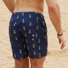 Chirpy Pineapple Swim Trunks sold by maamgic