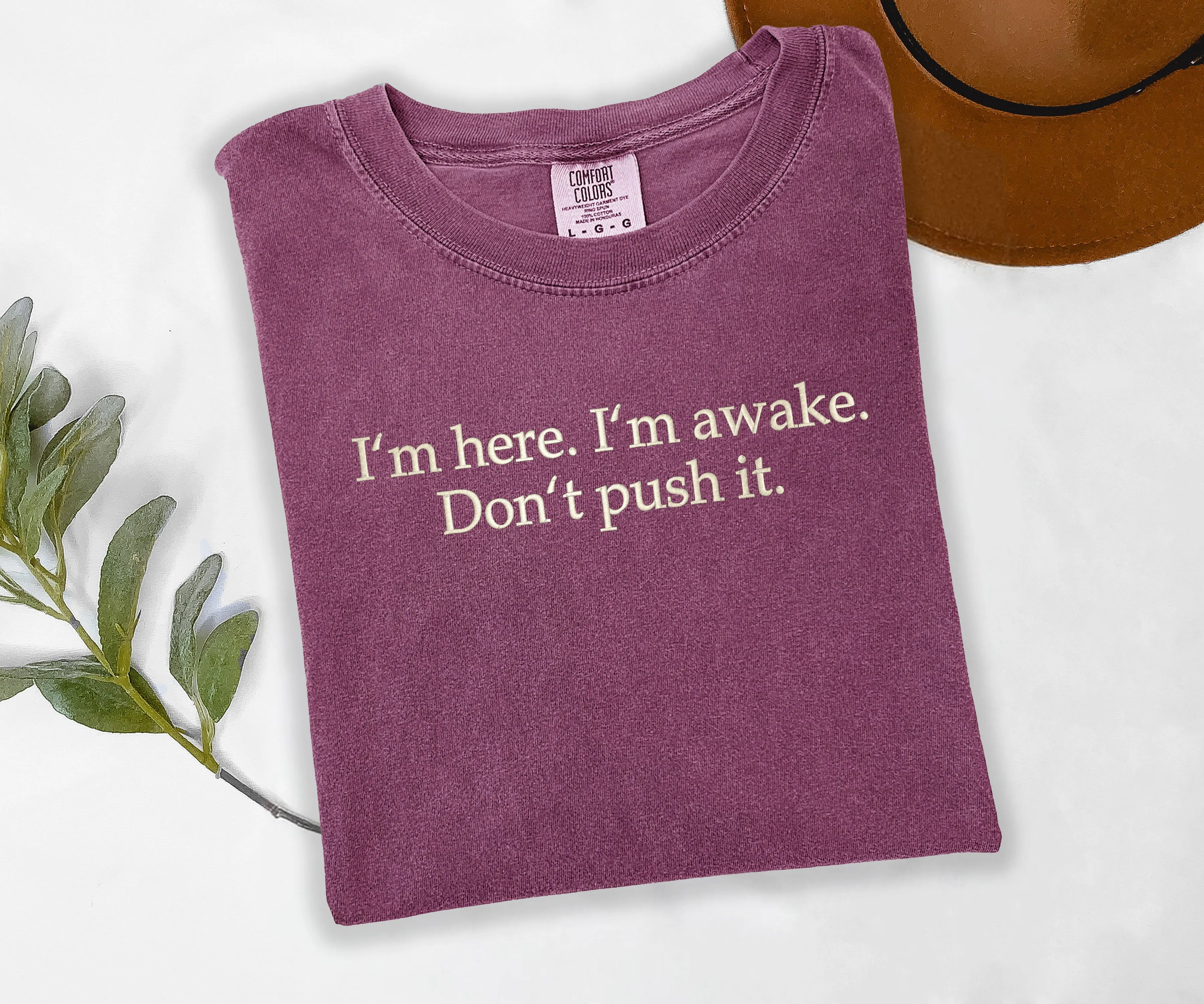 I'm Here. I'm Awake. Don't Push It. Embroidered T-shirt sold by Peach Marketplace product image thumbnail 4