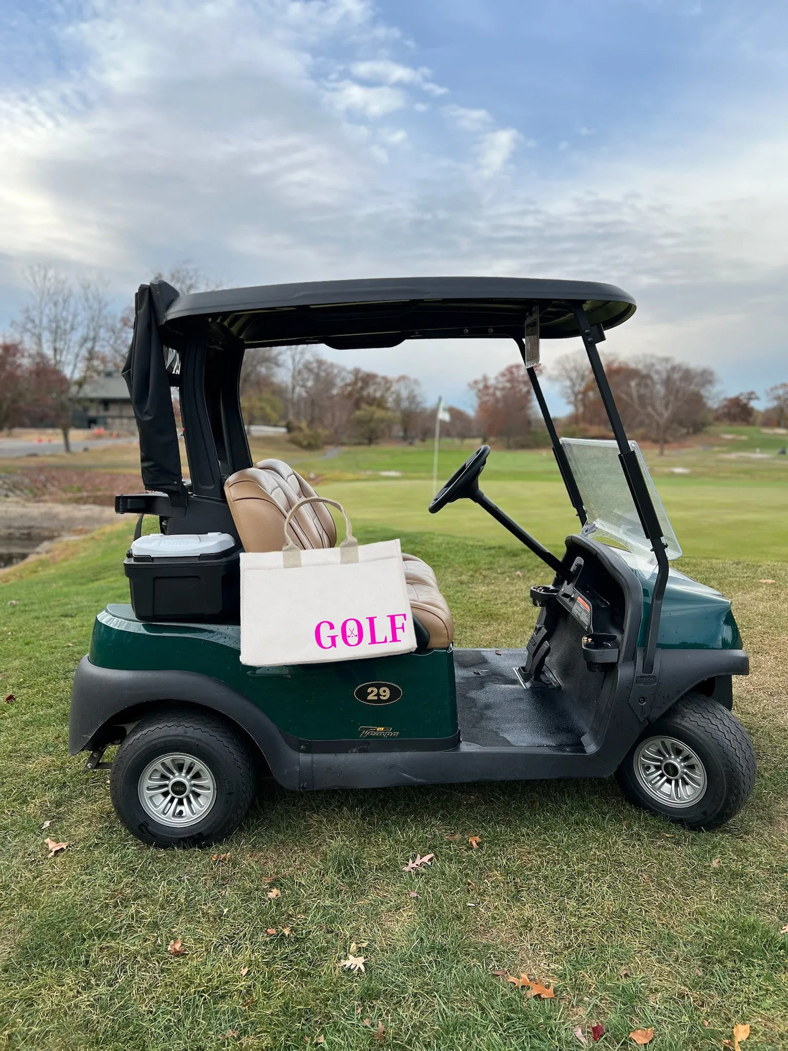 Golf Cart Anywhere Bag in Natural with Neon Pink GOLF sold by Quilted Koala product image thumbnail 2