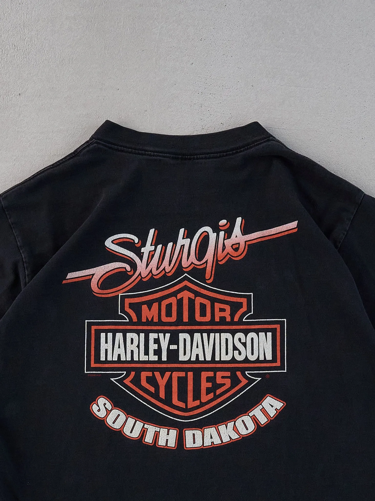 Vintage Black Harley Davidson South Dakota Graphic Tee (M) sold by Rebalance Vintage product image thumbnail 4