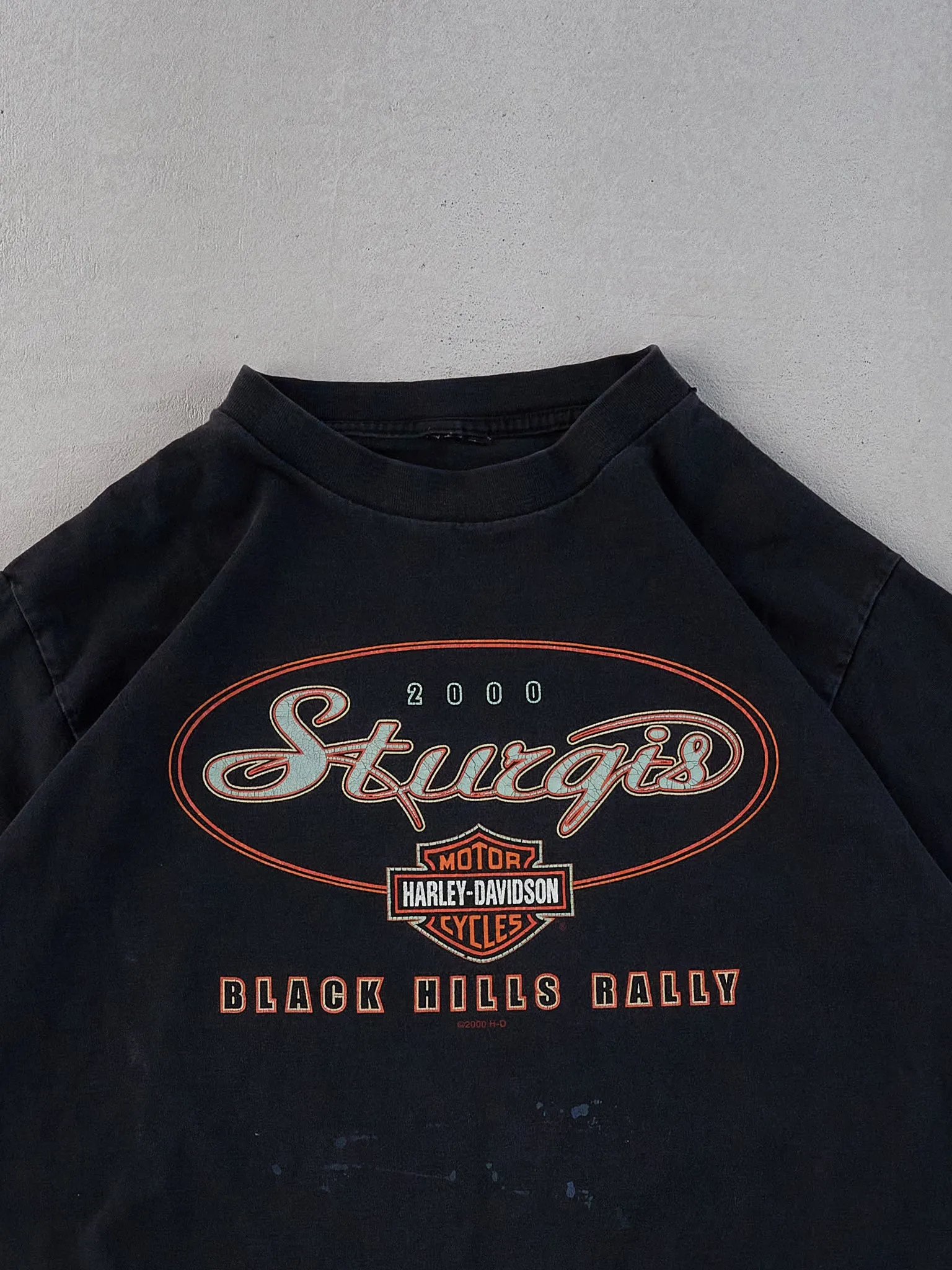 Vintage Black Harley Davidson South Dakota Graphic Tee (M) sold by Rebalance Vintage product image thumbnail 3