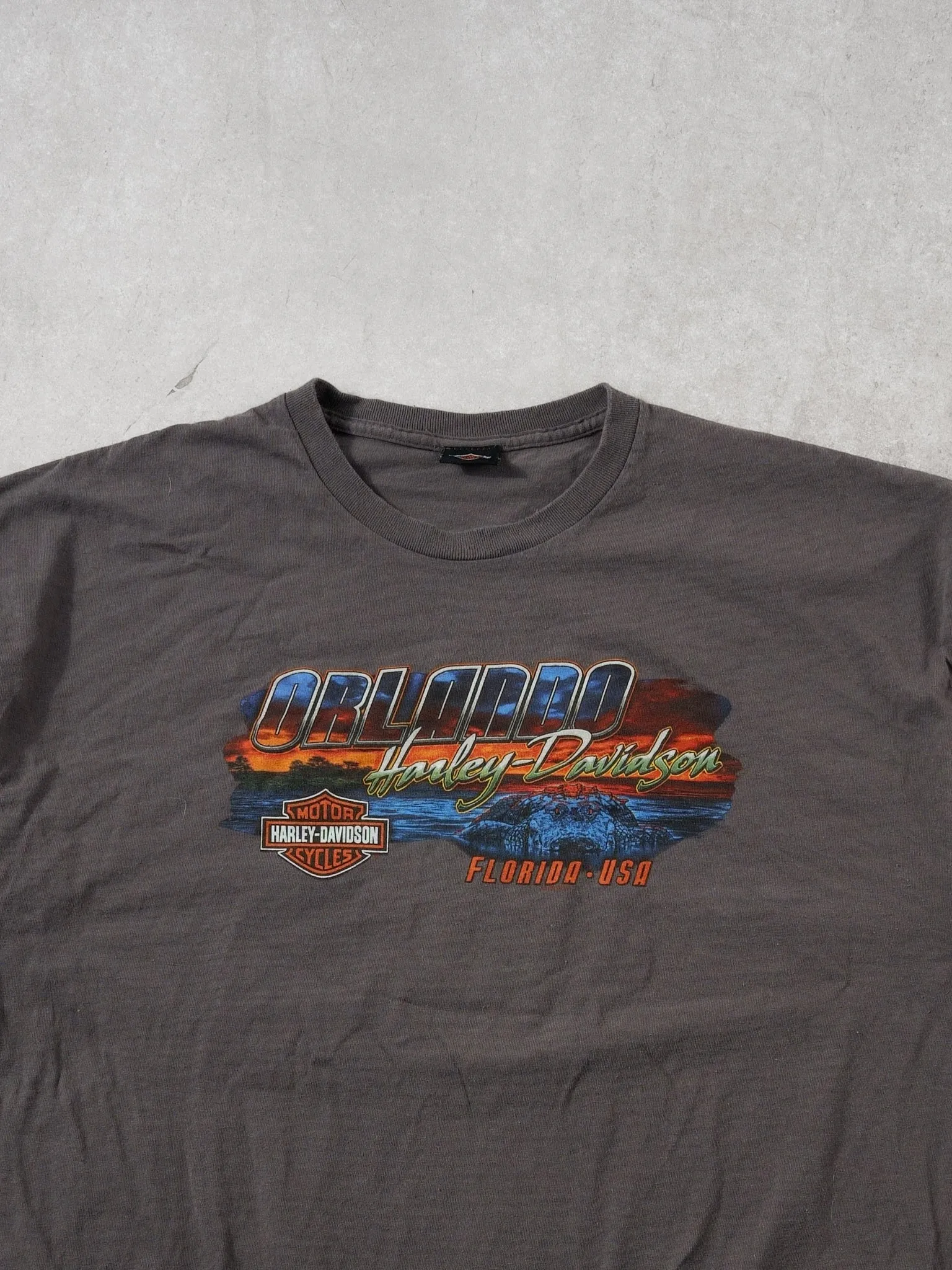 Y2k Grey Harley Davidson Orlando Florida Graphic Tee (L) sold by Rebalance Vintage product image thumbnail 3