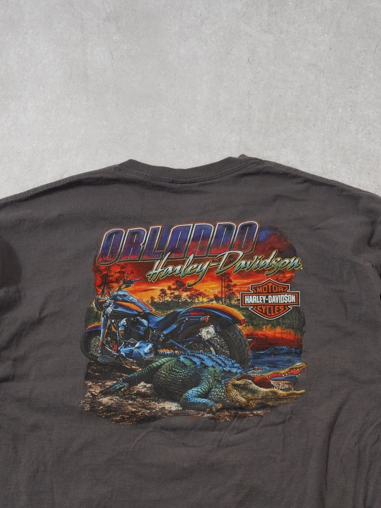 Y2k Grey Harley Davidson Orlando Florida Graphic Tee (L) sold by Rebalance Vintage product image thumbnail 2