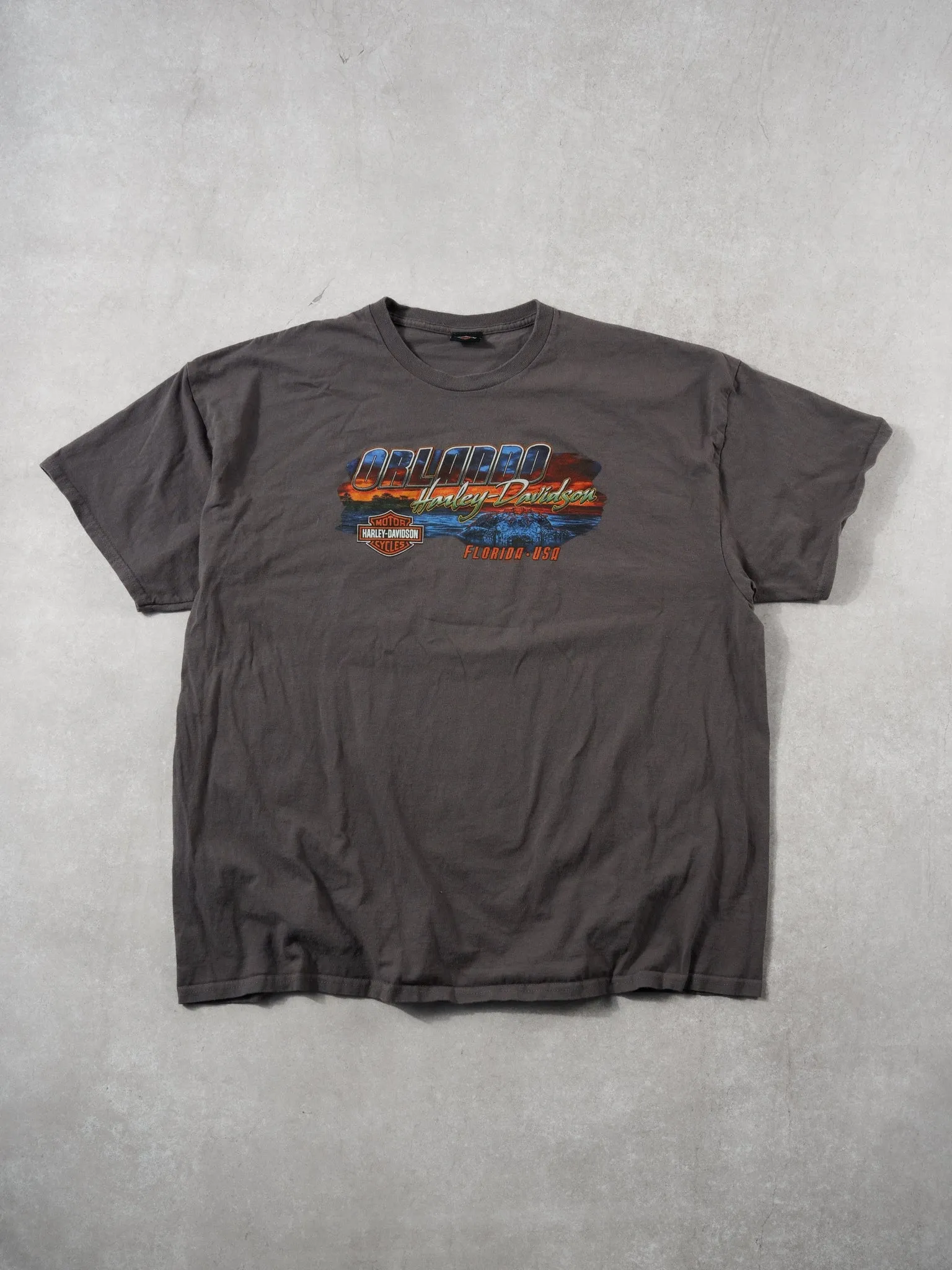 Y2k Grey Harley Davidson Orlando Florida Graphic Tee (L) sold by Rebalance Vintage