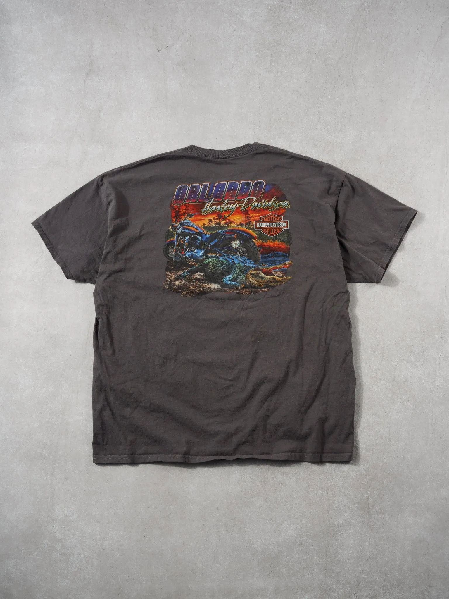 Y2k Grey Harley Davidson Orlando Florida Graphic Tee (L) sold by Rebalance Vintage product image thumbnail 4
